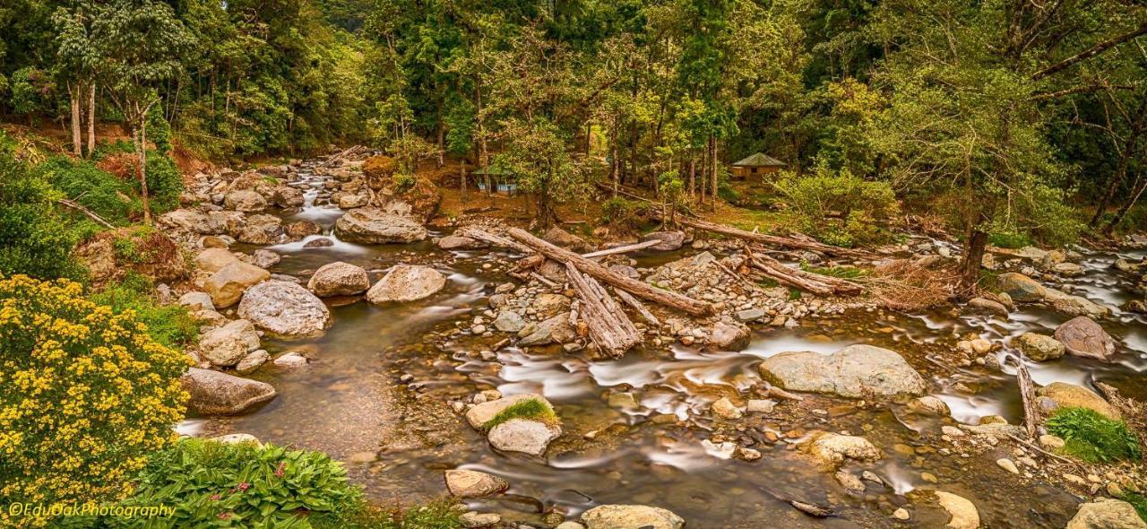 Cabinas El Quetzal Сан-Херардо-де-Дота Экстерьер фото